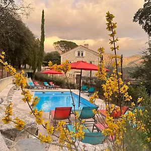 La Viste - Spa-jacuzzi - Massage- Sauna - 4 Saisons - Piscine Chauffee Toute L'annee - Heated Pool - 800m Centre Bed & Breakfast Nyons